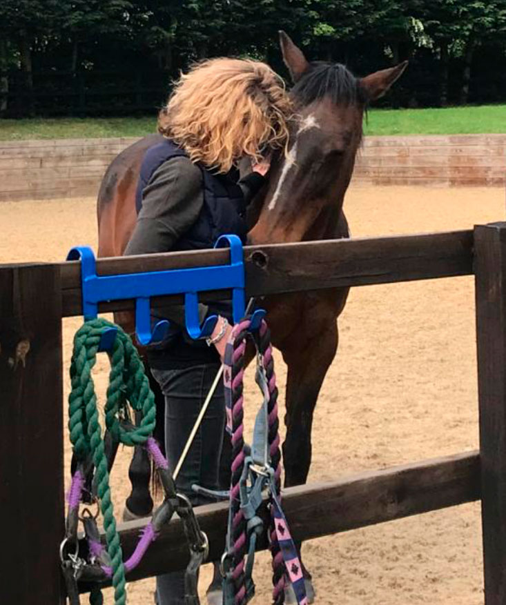 Stable Person Stroking a Horse